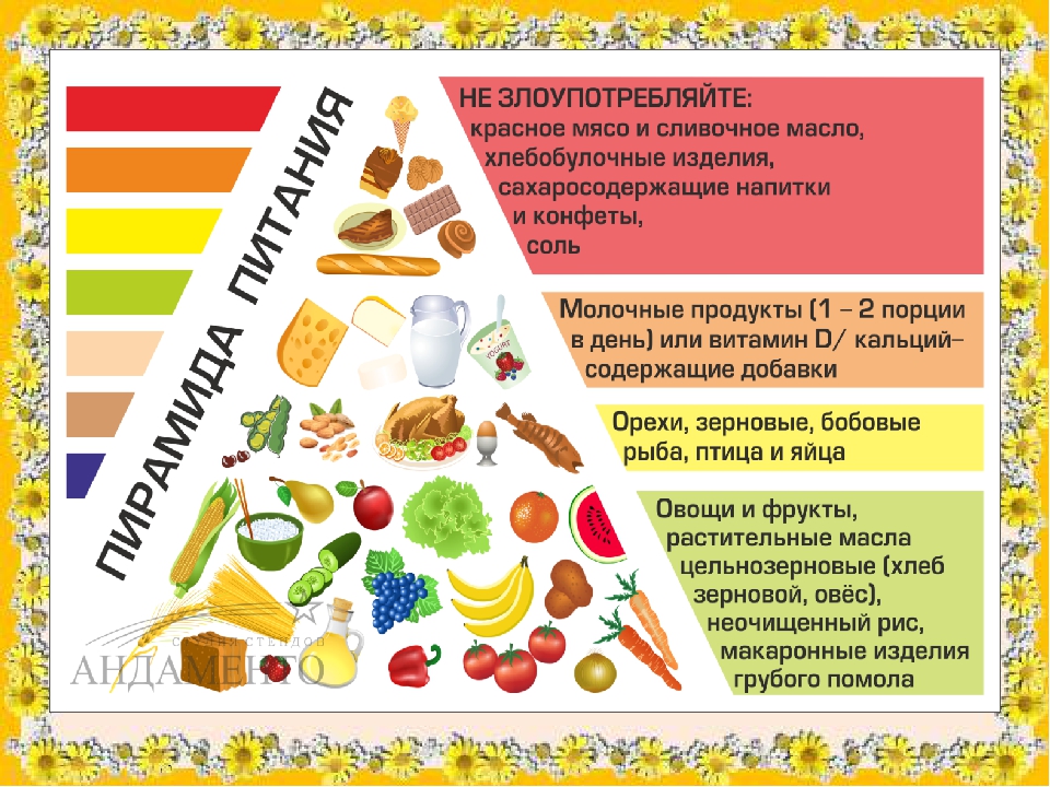 Пирамида питания.